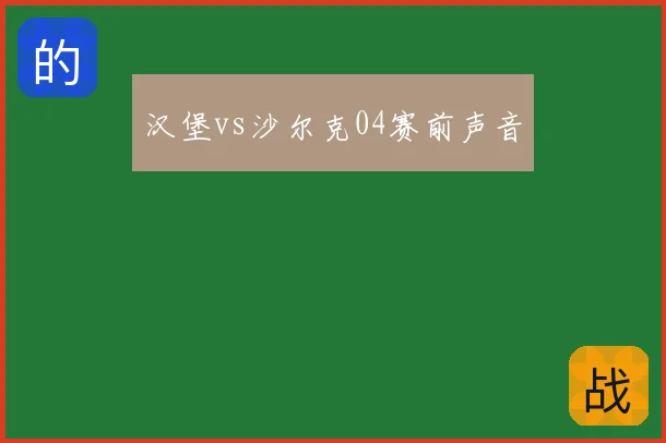 汉堡vs沙尔克04赛前声音