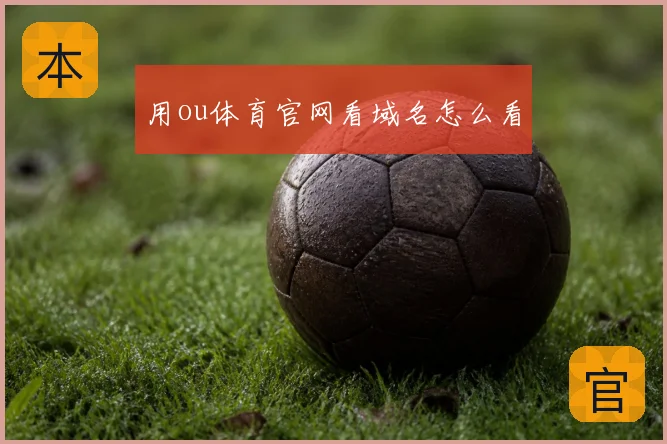 用ou体育官网看域名怎么看